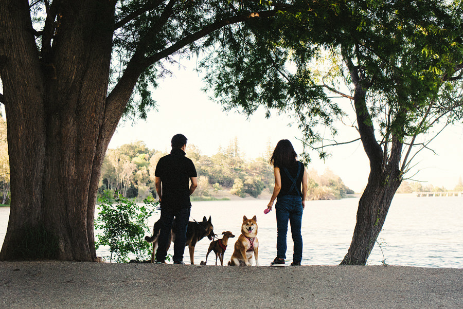 A man and his fiance looks away at the Lake with their 3 dogs