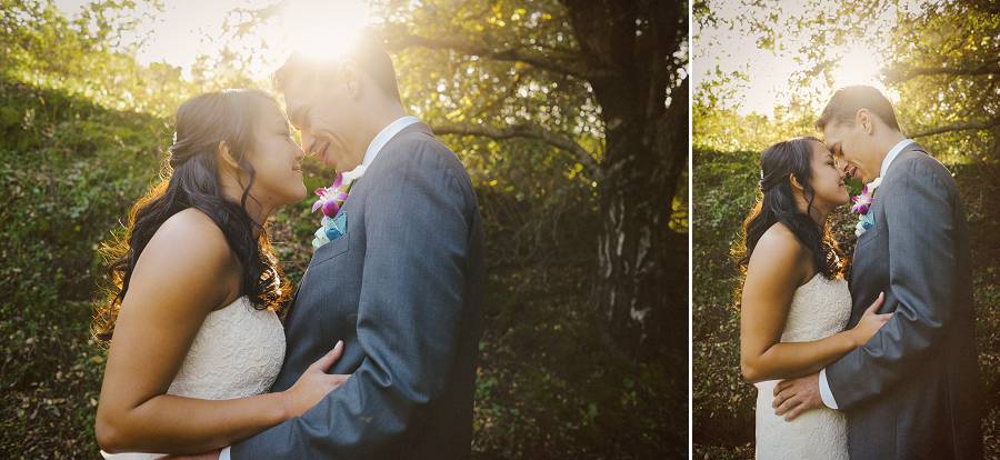 A collage of wedding couple with the sun flare