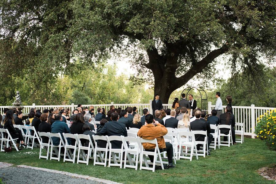 A beautiful shot of the Picchetti Winery Wedding