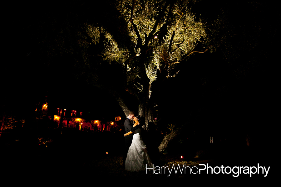 Los Gatos Regale Winery Wedding Photo 24