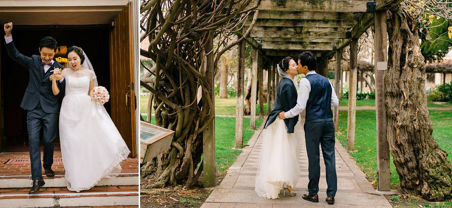 A collage of happy couple exiting their church and kissing couple underneath the vine tree